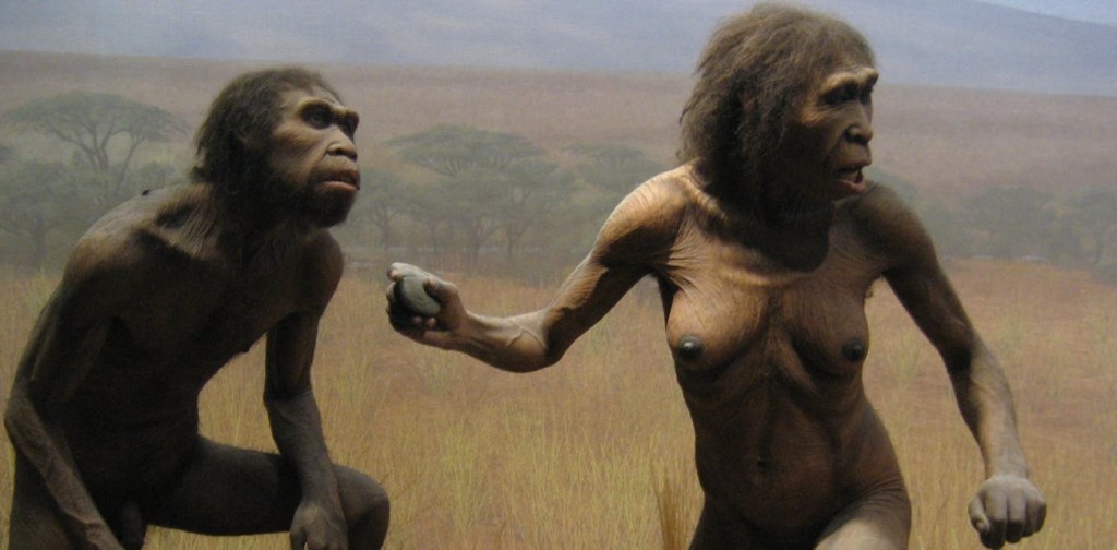 Recreación de ‘Homo habilis’.