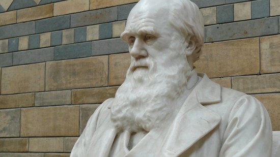 Busto de Charles Darwin