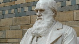 Busto de Charles Darwin