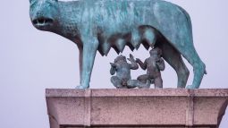 loba-capitolina-merida