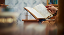 Lectura recomendados febrero