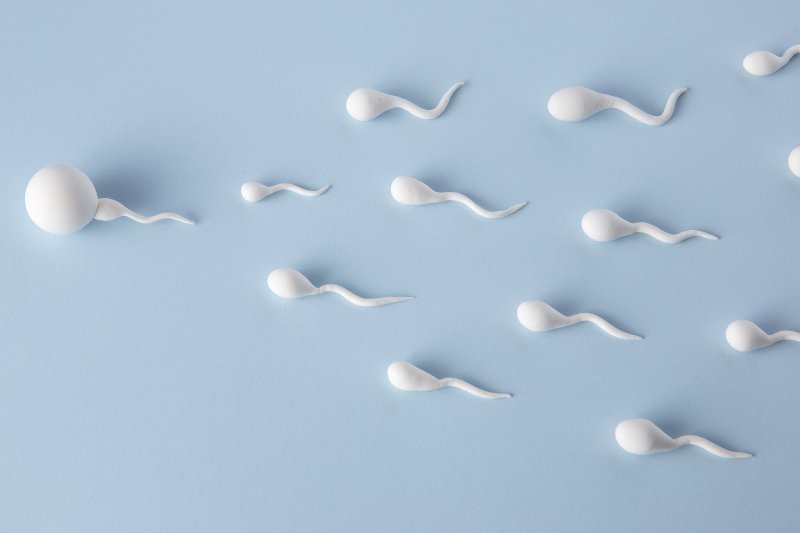 esperma-humano-semen