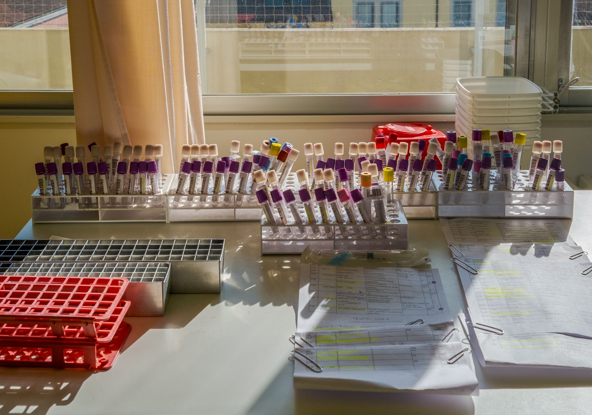 ¿Realmente sabemos lo que es la ciencia?