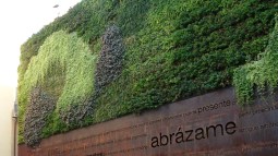 Jardin vertical de Plaza del Pericón