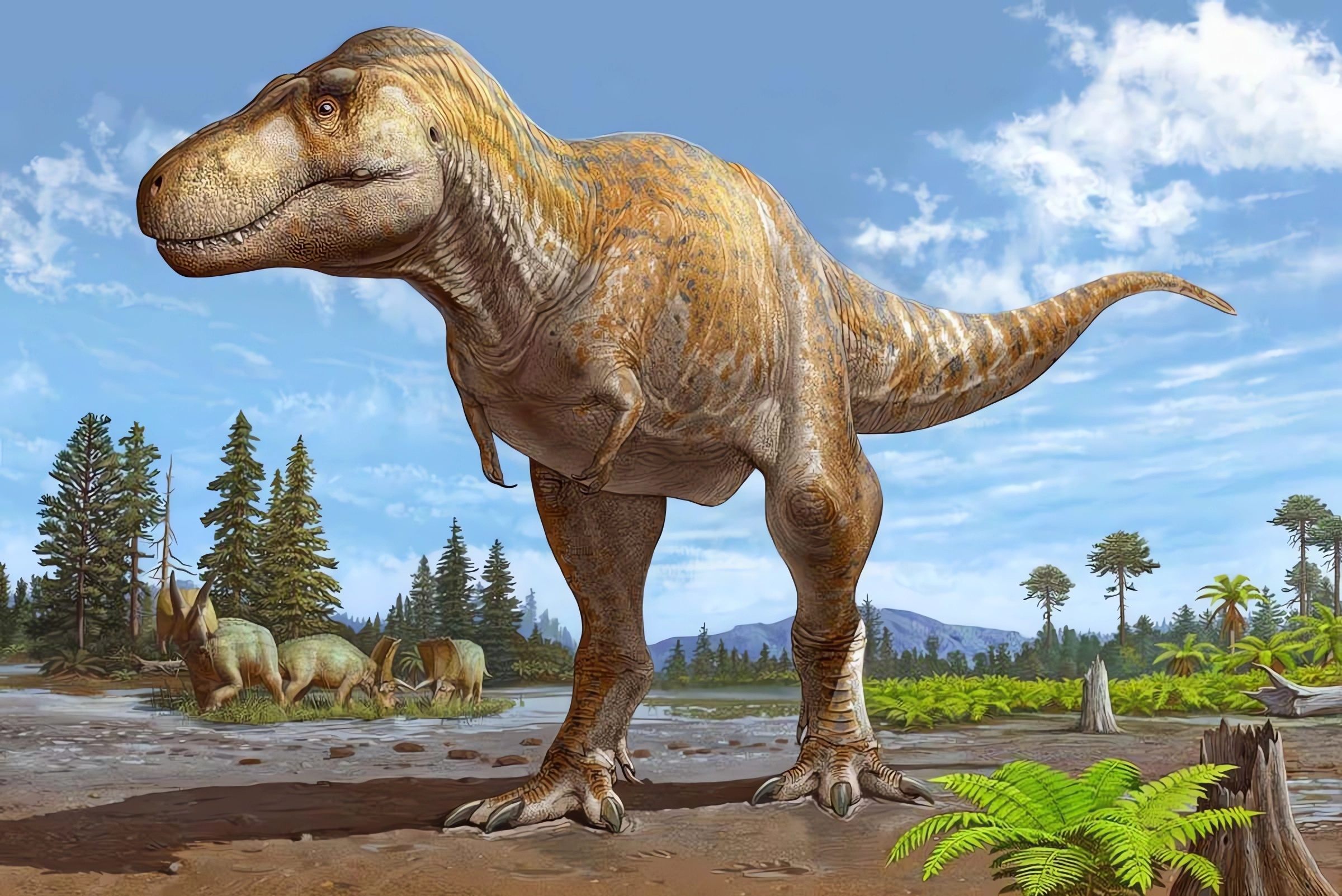 Recreación de ‘Tyrannosaurus mcraensis’