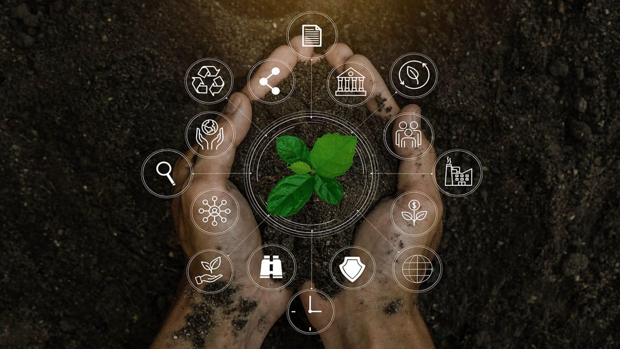 Floración tecnológica: inteligencia artificial para aficionados a la jardinería