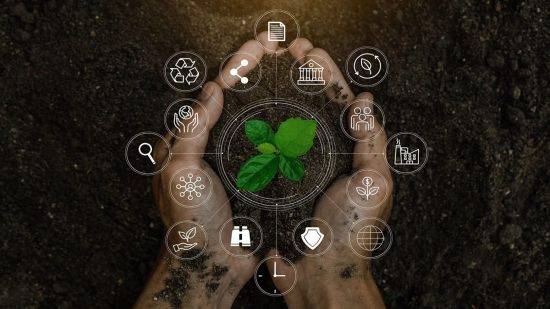 Floración tecnológica: inteligencia artificial para aficionados a la jardinería