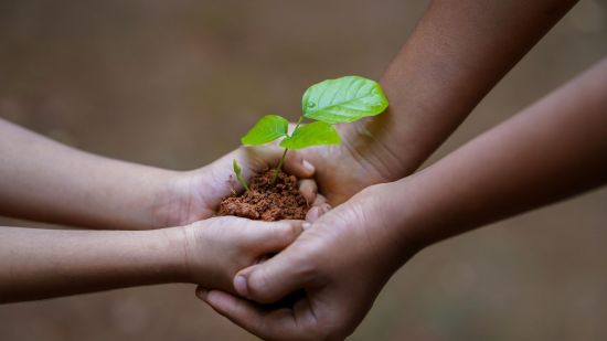 El decrecimiento permite ayudar al medioambiente