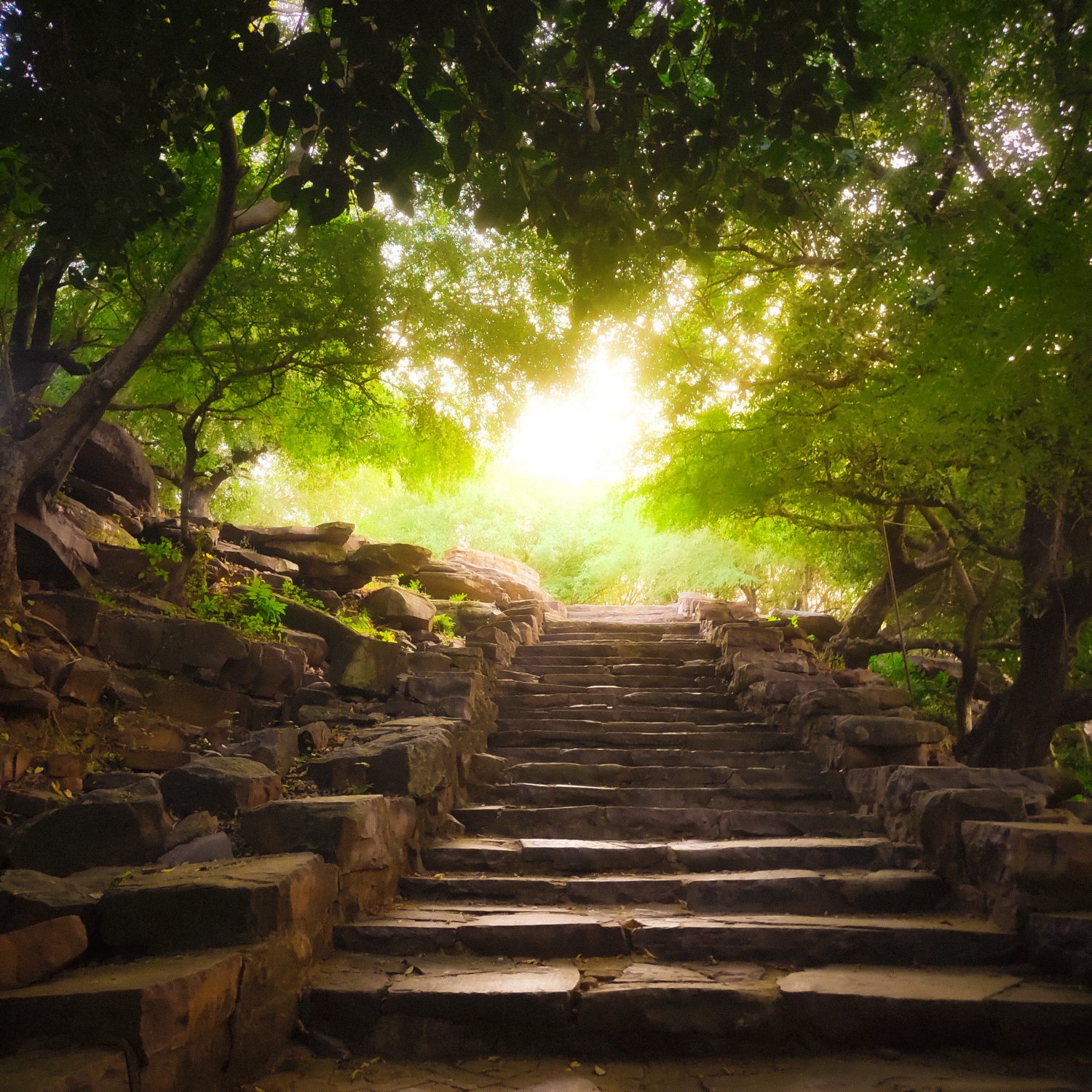 Naturaleza en todo su esplendor