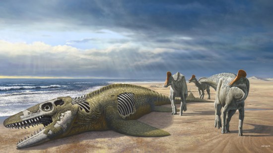 Recreación de Minqaria