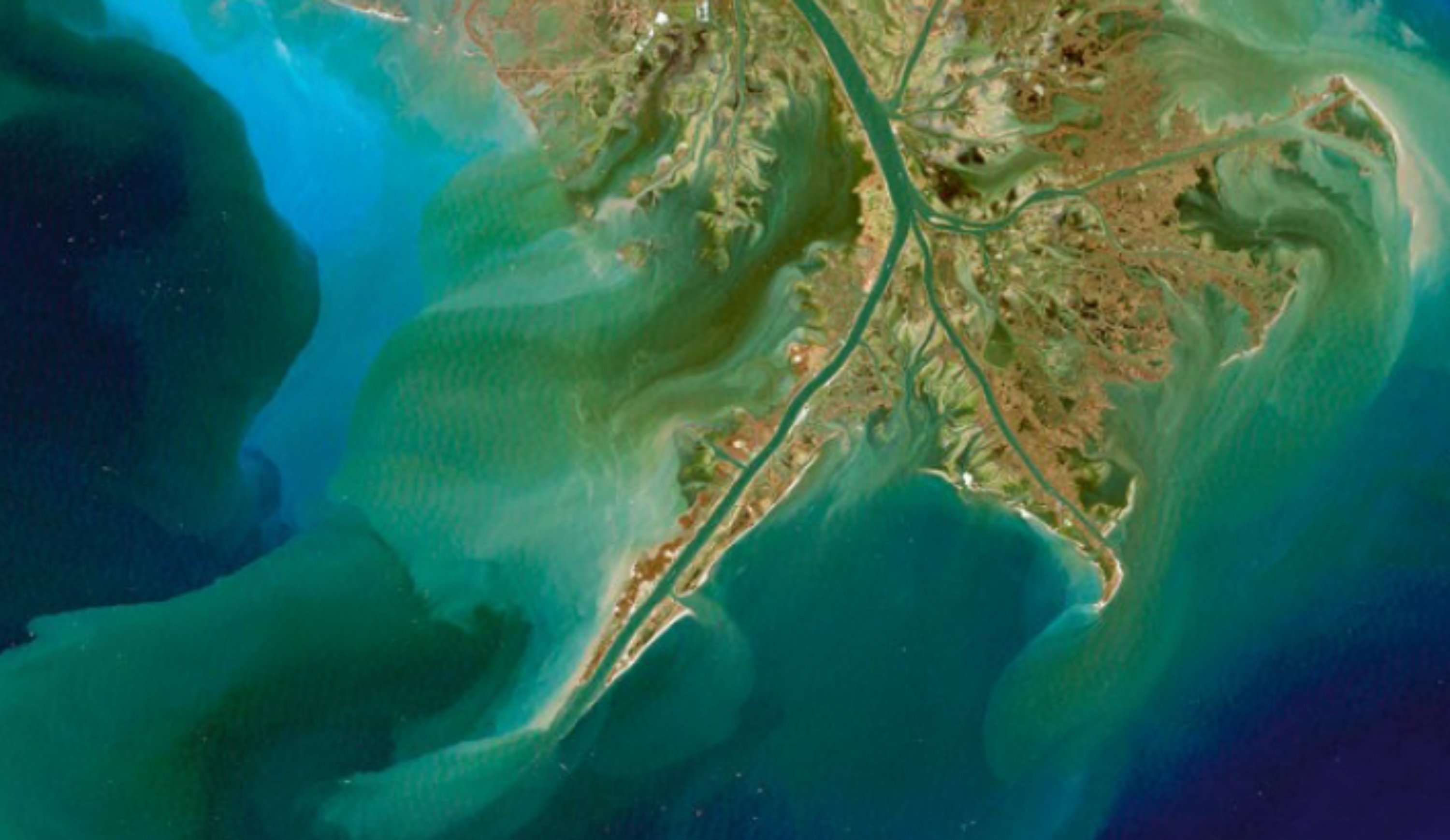 eutrofización-misisispi