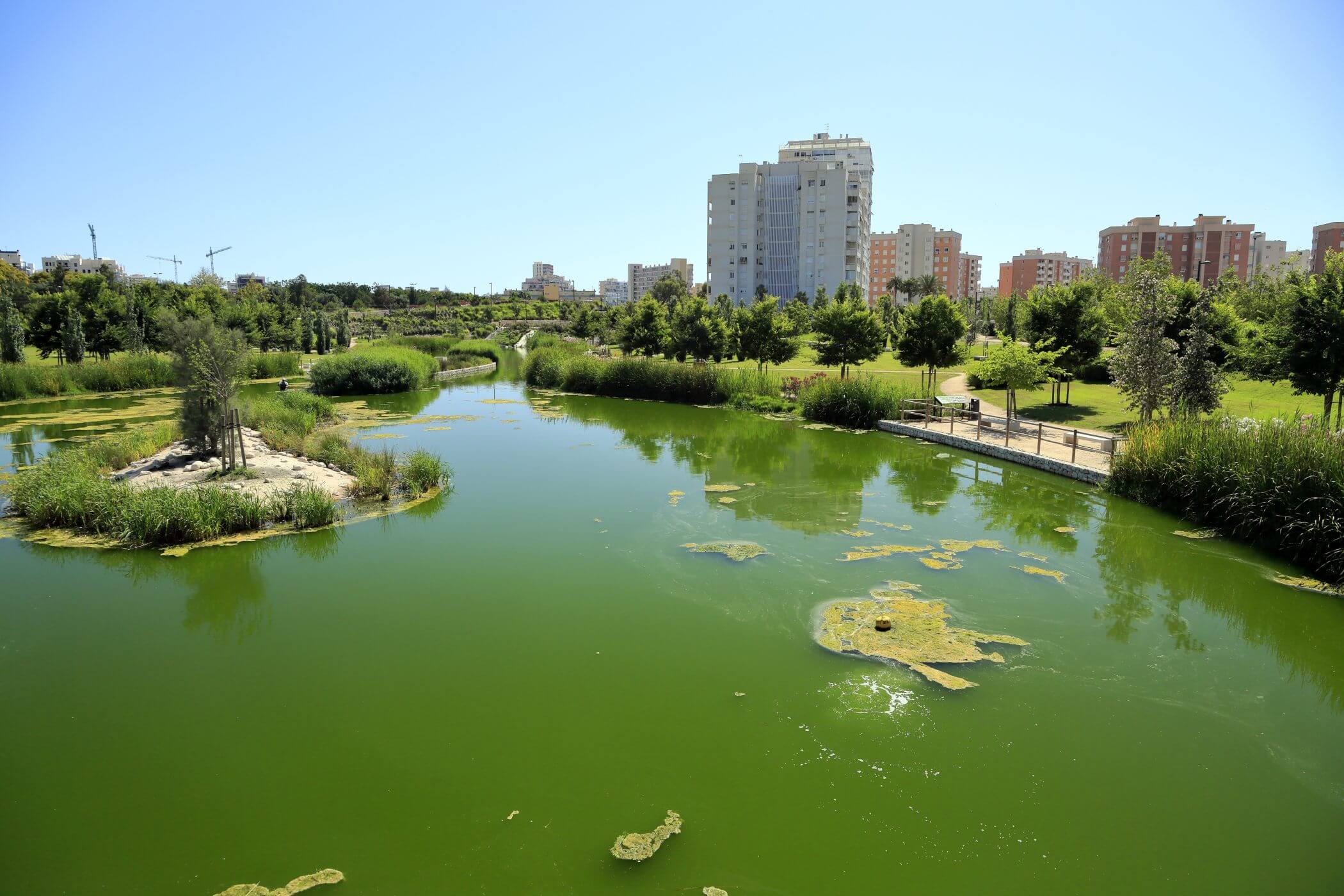 Parque de La Marjal, en Alicante