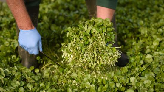 GettyImages-1245992466