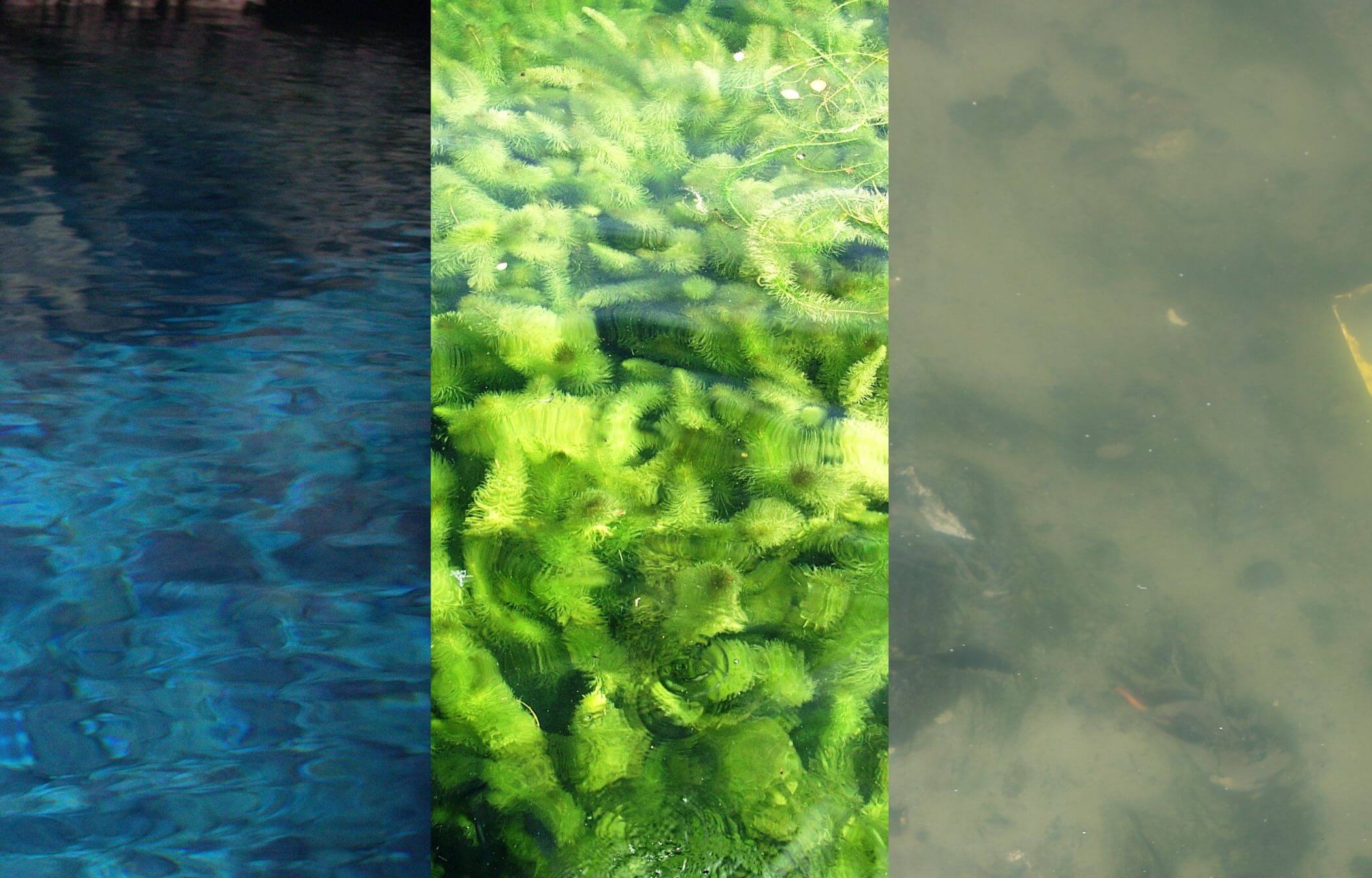 La huella hídrica se mide en función de varios “colores”