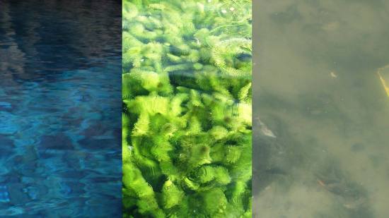 La huella hídrica se mide en función de varios “colores”