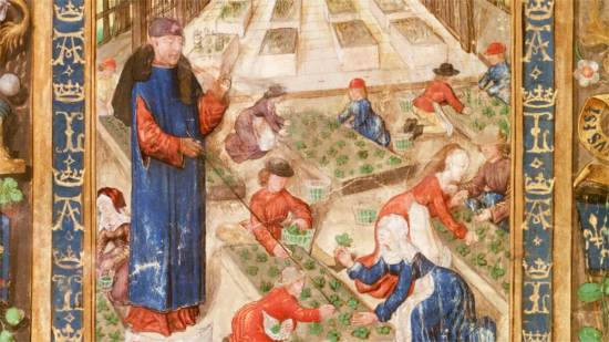 Los hospitales de Guadalupe: una joya del patrimonio cultural y sanitario