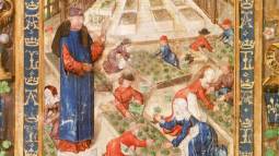 Los hospitales de Guadalupe: una joya del patrimonio cultural y sanitario