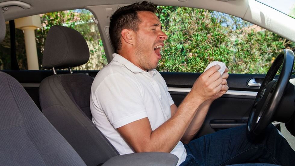 CONSEJOSALERGIAYCONDUCCION6