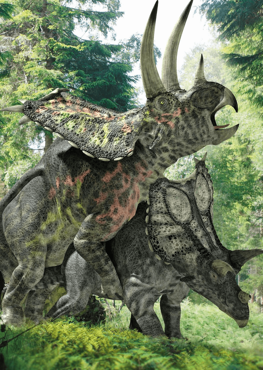 pentaceratops