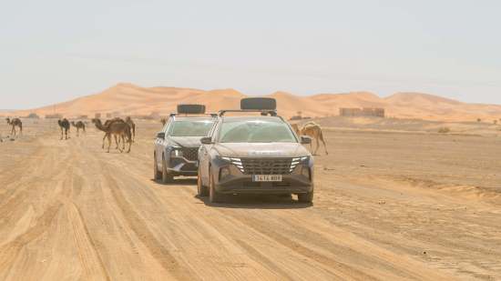 DIA0518Haciariosdearena