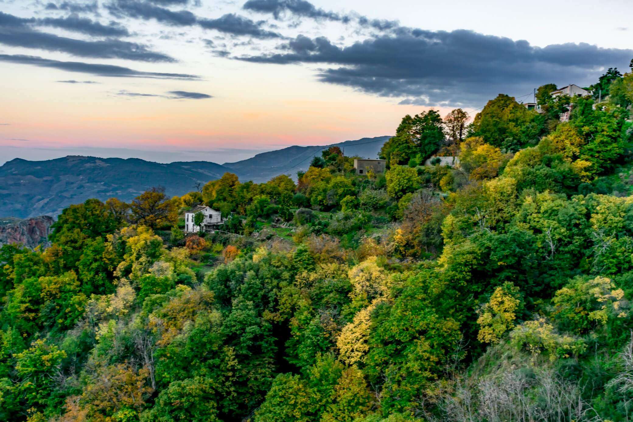 ¿Cuál es el parque natural más grande de España?
