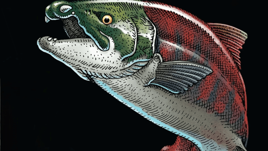 Hallan un salmón prehistórico de 3 metros con 'dientes de sable'