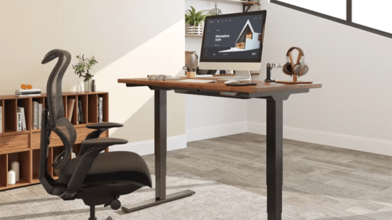 Mes grande de FlexiSpot E5