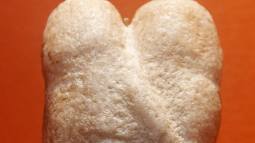 Amantes de Ain Sajri