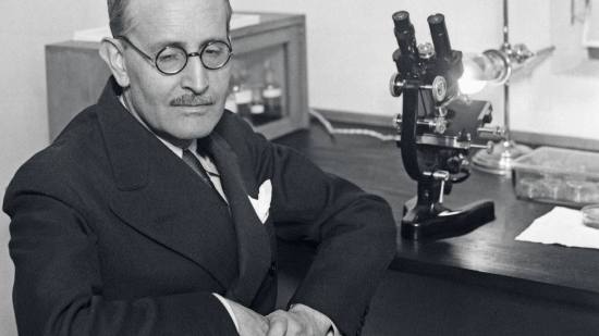 Pío del Río Hortega