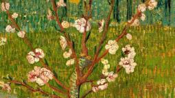 Almendro en flor, de Van Gogh