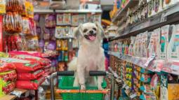 Perrito en el súper