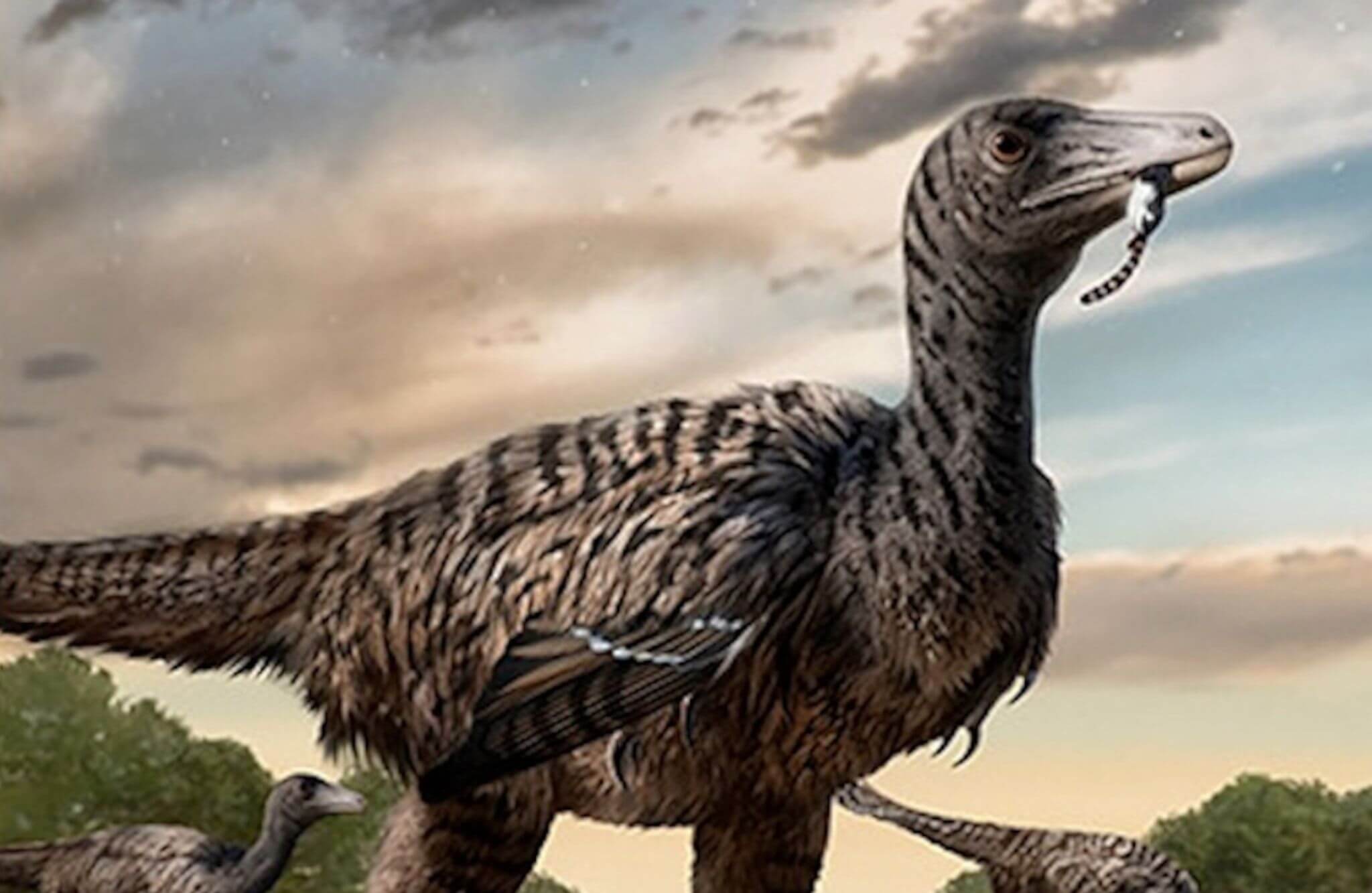 Fujianipus yingliangi