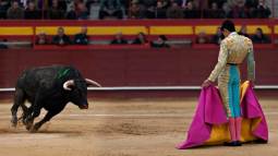 Esta es la plaza de toros más antigua de España