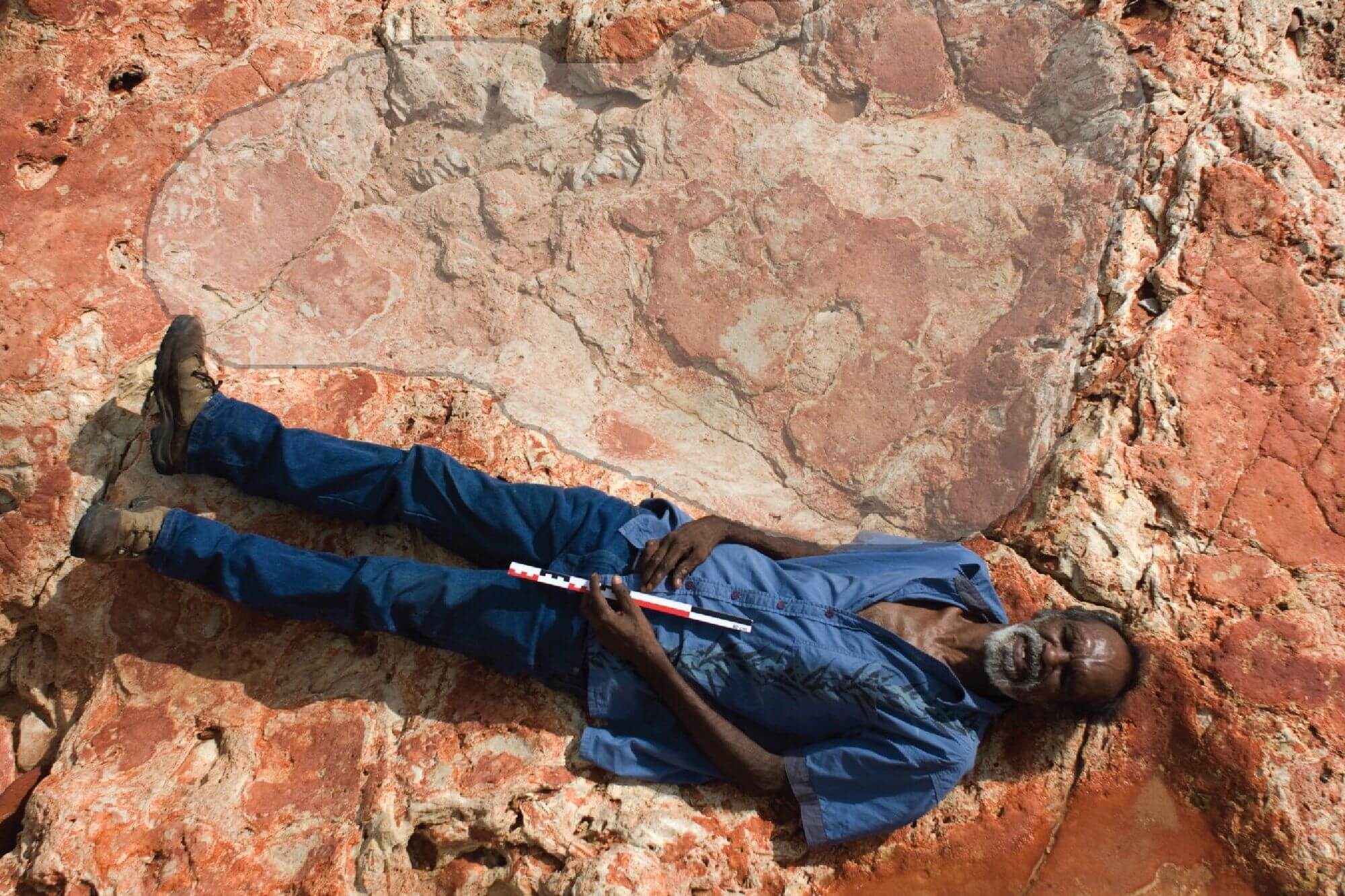 La huella de dinosaurios más grande