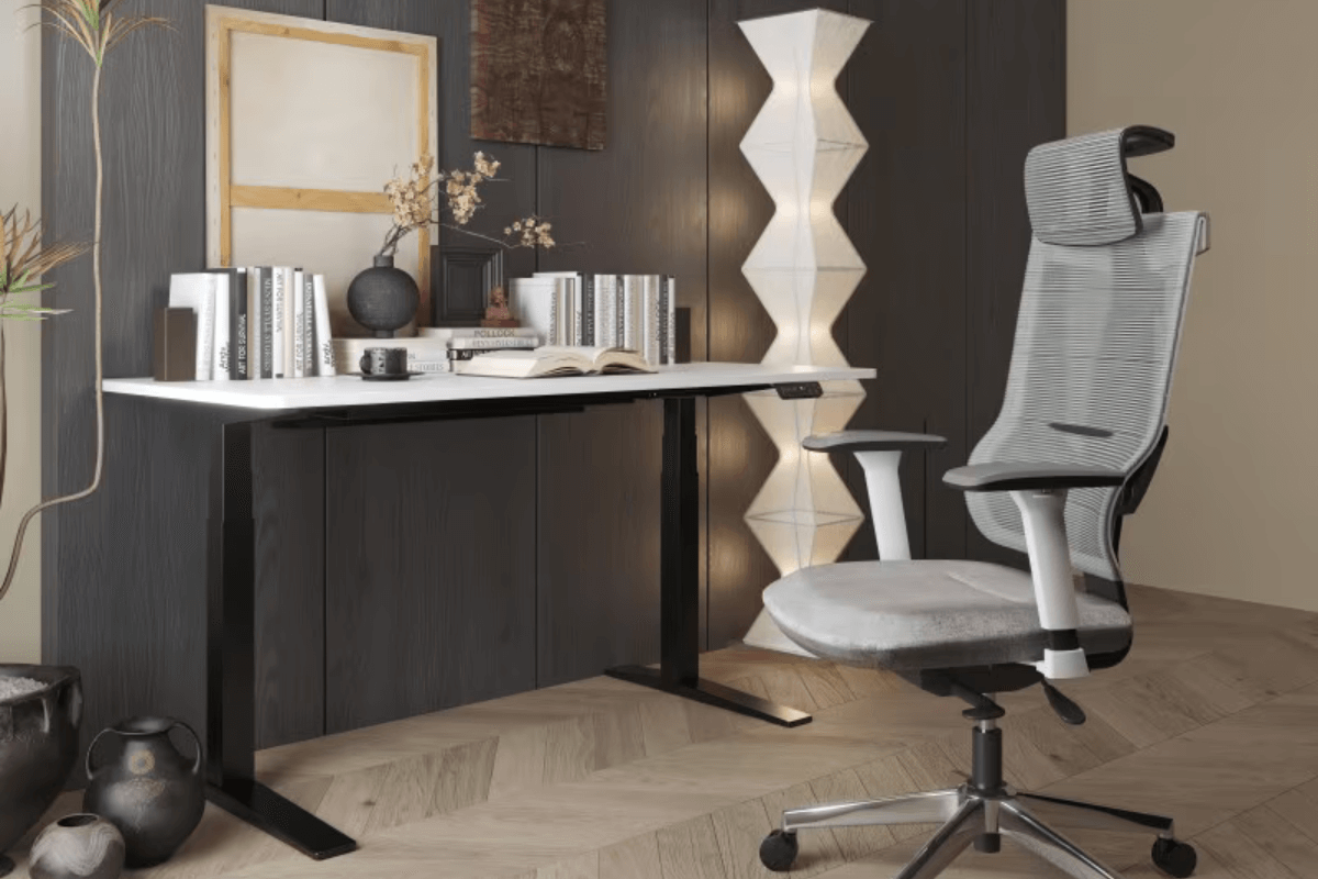 Silla escritorio oferta BS5 FlexiSpot