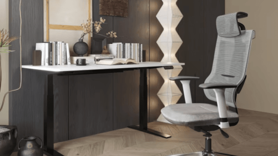 Silla escritorio oferta BS5 FlexiSpot