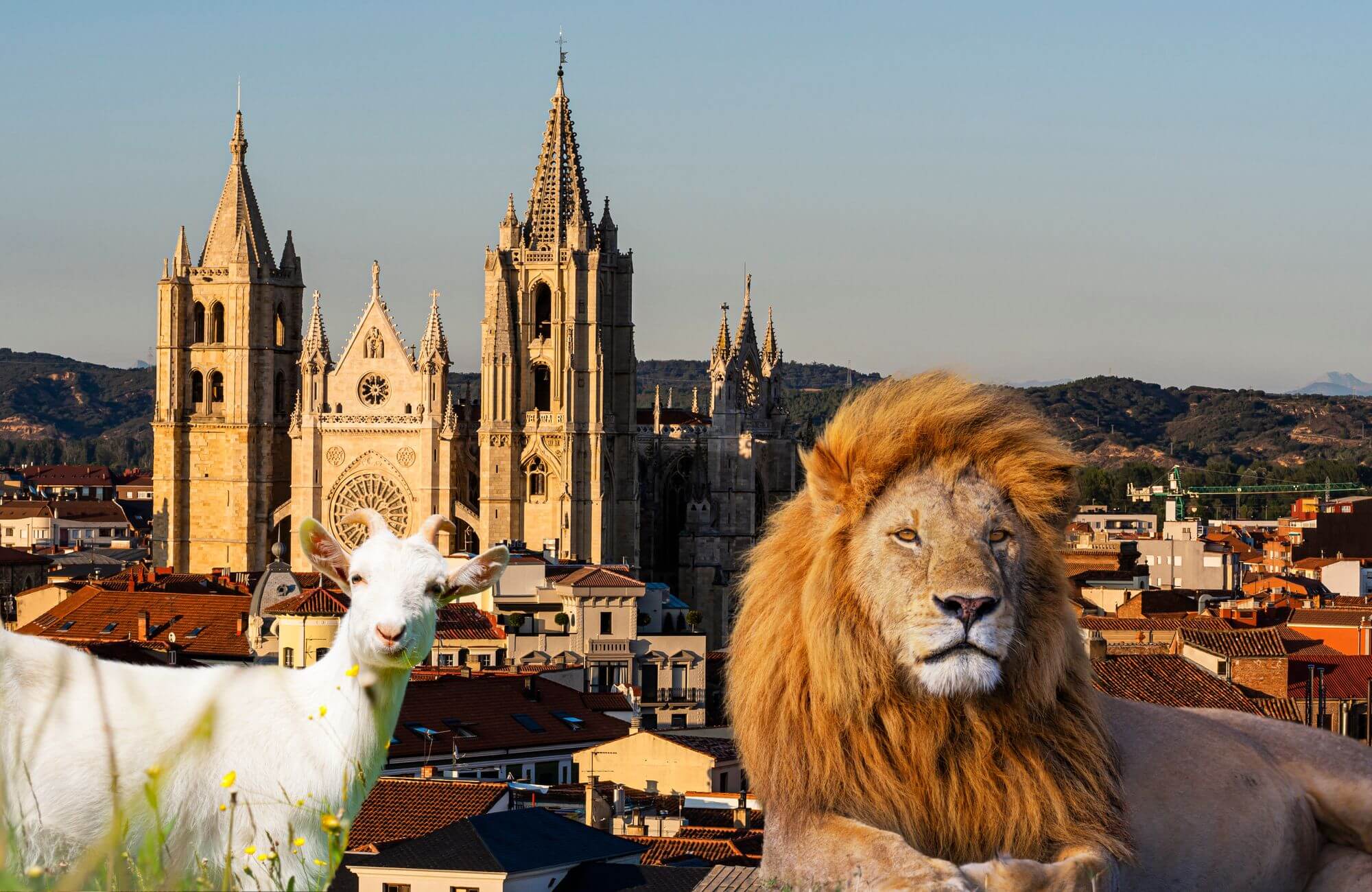 Pueblos de España con nombres de animales