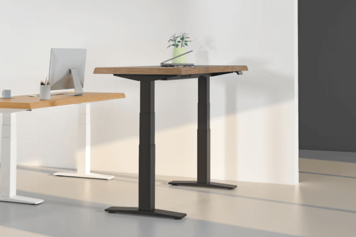 Escritorios elevables rebajados agosto FlexiSpot