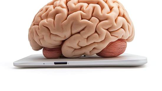 Cerebro y copias de seguridad