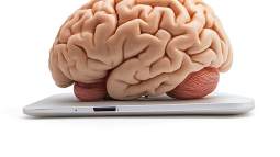 Cerebro y copias de seguridad