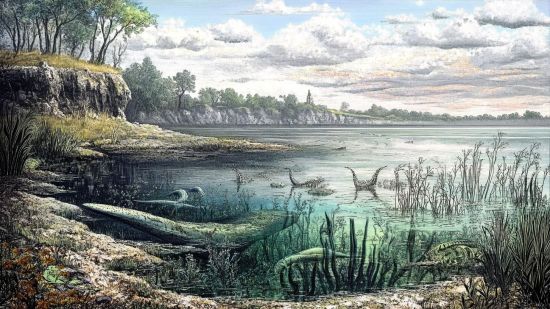 Este es el pene más antiguo del mundo: tiene 425 millones de años