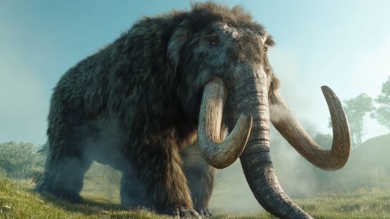 ¡Increíble! Hallan el cráneo intacto de un mastodonte de 13.600 años de antigüedad