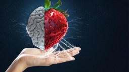 Strawberry de OpenAI