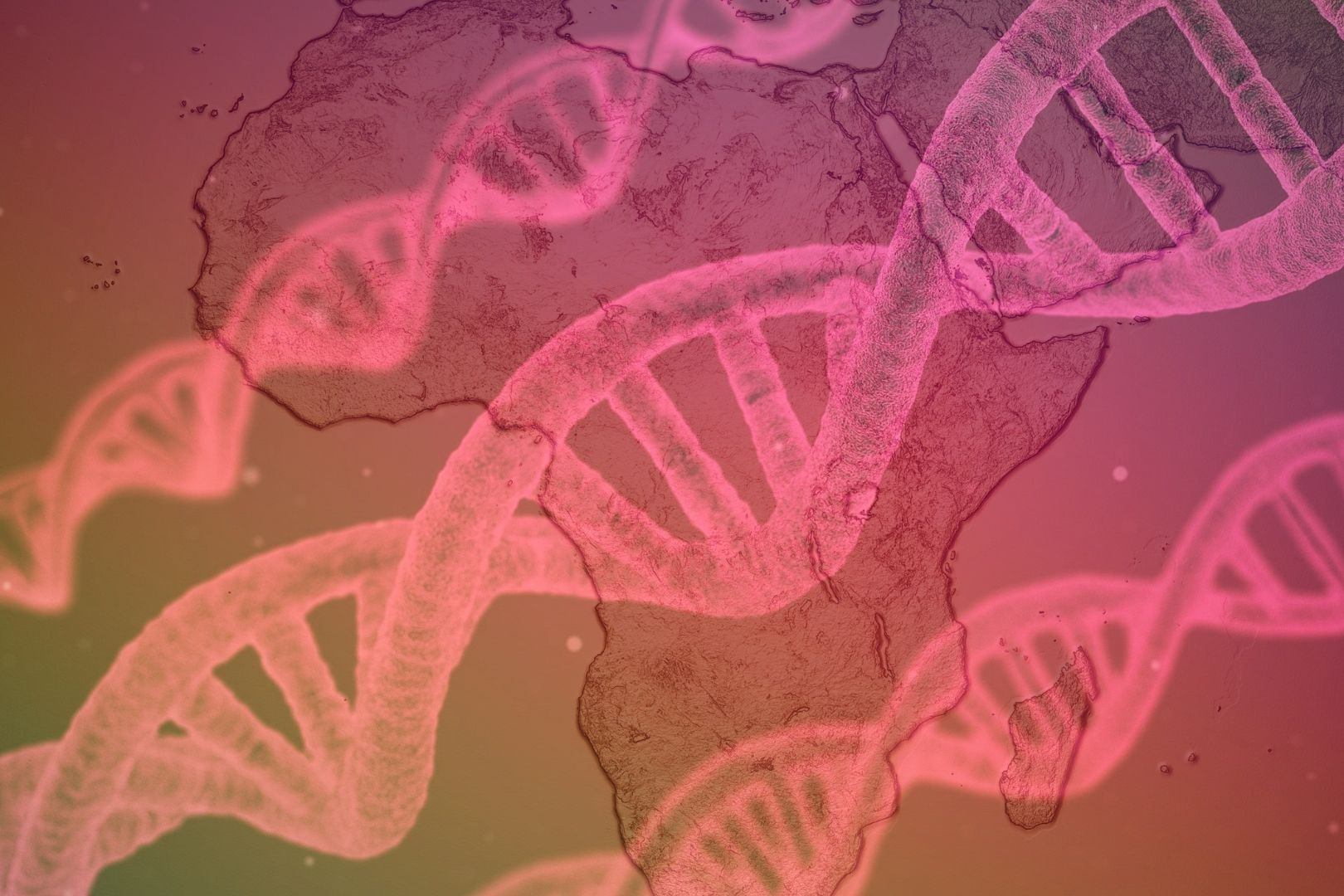 Homo sapiens y su origen en África