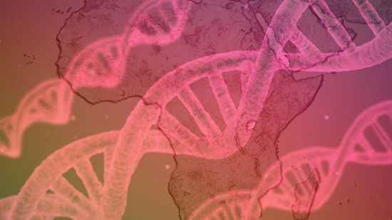 Homo sapiens y su origen en África