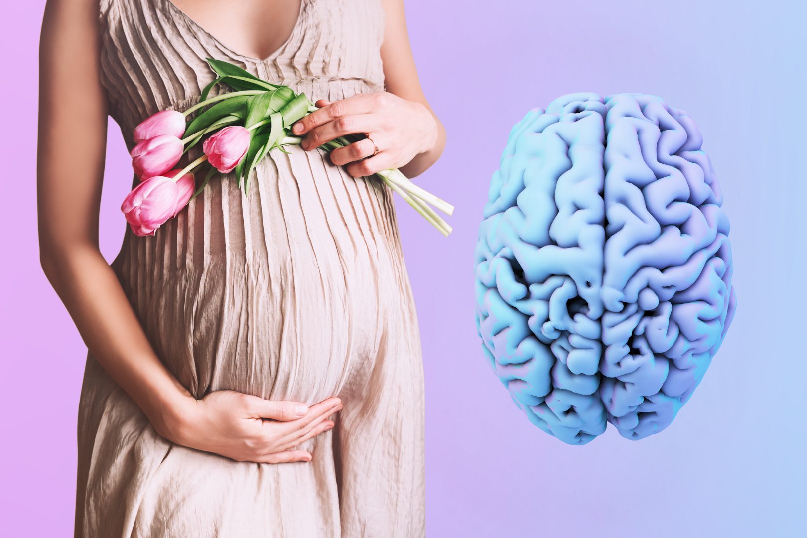 El embarazo transforma el cerebro