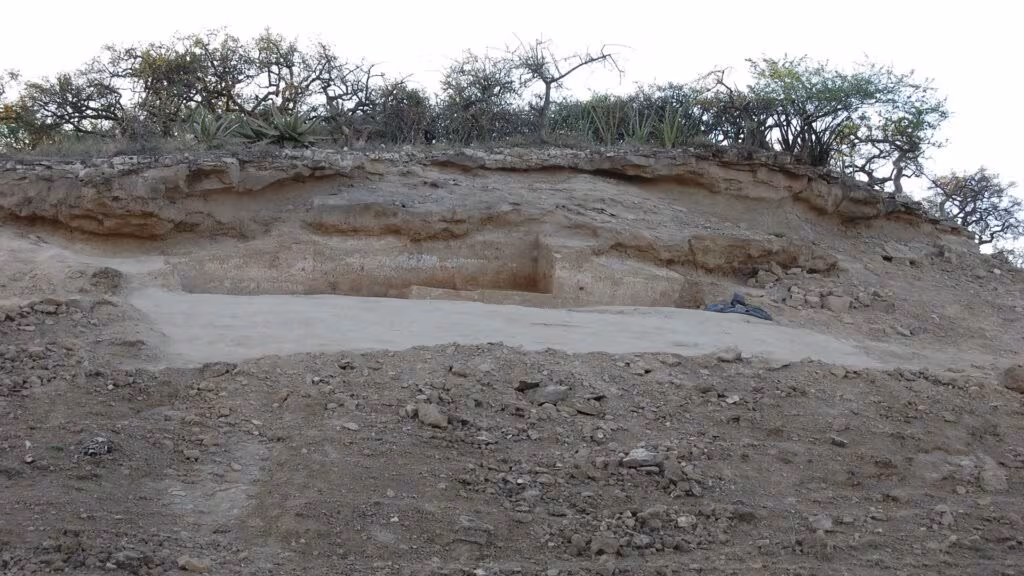 Vista general de DGS