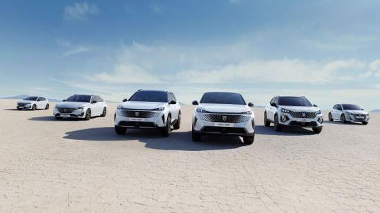 Confianza y fiabilidad: Esta marca ofrece 8 años de garantía en sus coches