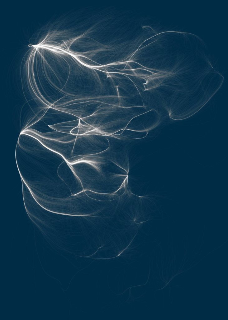 Este mapa muestra la distribución de la materia en el Universo local