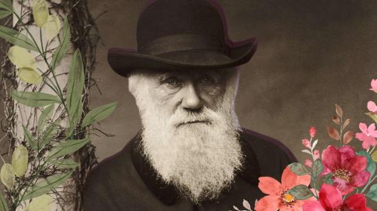 Lo que nunca te contaron sobre el lado botánico de Charles Darwin